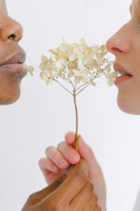 Close-up of an interracial couple sharing a delicate moment with a dried flower on a white background.